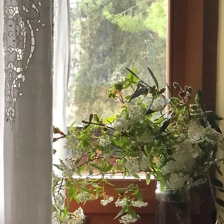 Appartamento Il Nido Di Rondine Siena