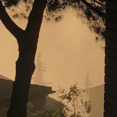 Il Nido Di Rondine * Siena