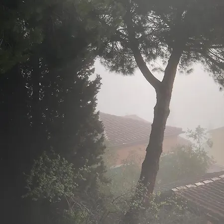 Lägenhet Il Nido Di Rondine Siena