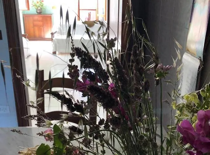 Appartamento Il Nido Di Rondine *