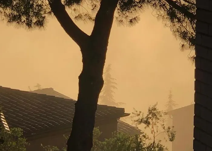 Appartamento Il Nido Di Rondine Siena