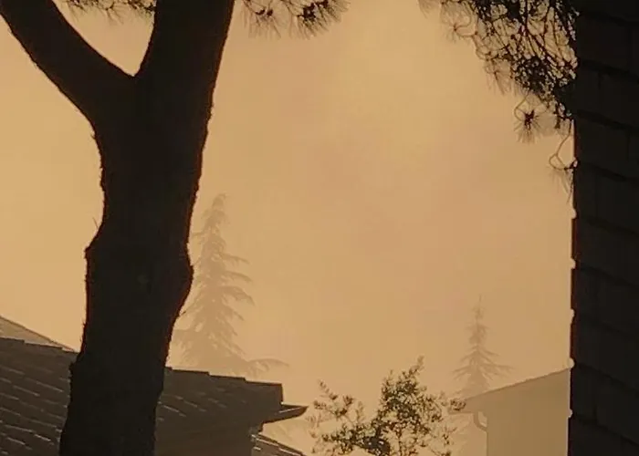 Il Nido Di Rondine * Siena