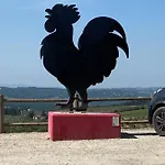 Il Nido Di Rondine * Siena