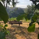 Daire Il Nido Di Rondine Siena