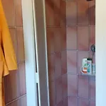 Il Nido Di Rondine