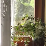 Daire Il Nido Di Rondine Siena