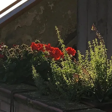 Апартаменти Il Nido Di Rondine *