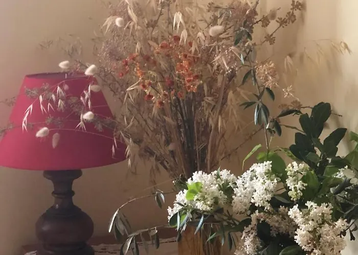 Il Nido Di Rondine Apartmán *