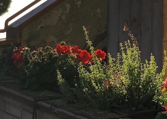 Apartmán Il Nido Di Rondine *