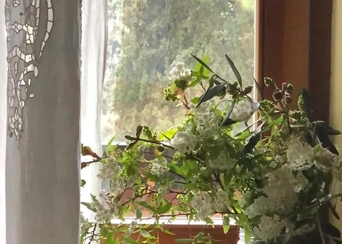 Apartmán Il Nido Di Rondine Siena