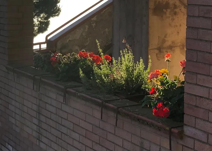 Il Nido Di Rondine Apartment *