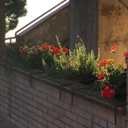 Il Nido Di Rondine Lägenhet *